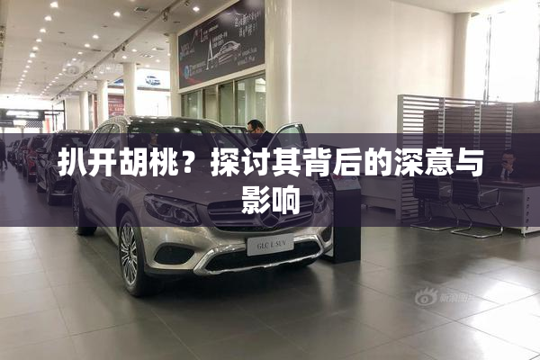 扒开胡桃？探讨其背后的深意与影响