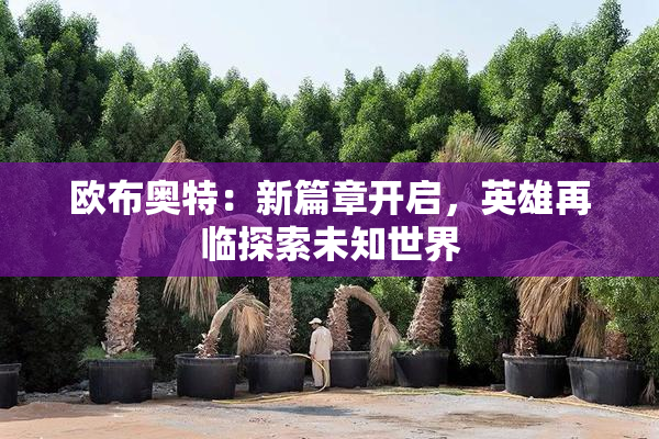 欧布奥特：新篇章开启，英雄再临探索未知世界