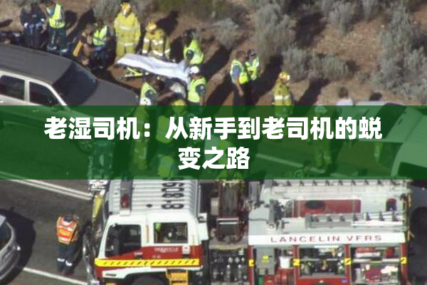 老湿司机：从新手到老司机的蜕变之路