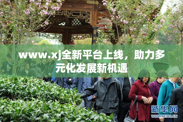www.xj全新平台上线，助力多元化发展新机遇