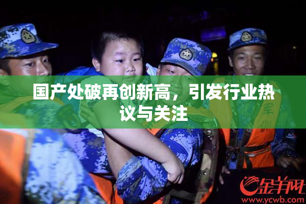 国产处破再创新高，引发行业热议与关注