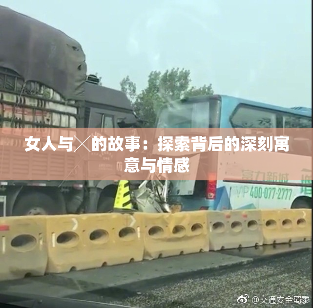 女人与╳的故事：探索背后的深刻寓意与情感