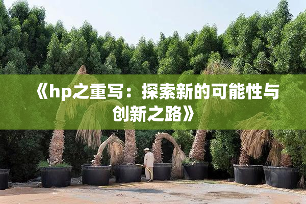 《hp之重写：探索新的可能性与创新之路》