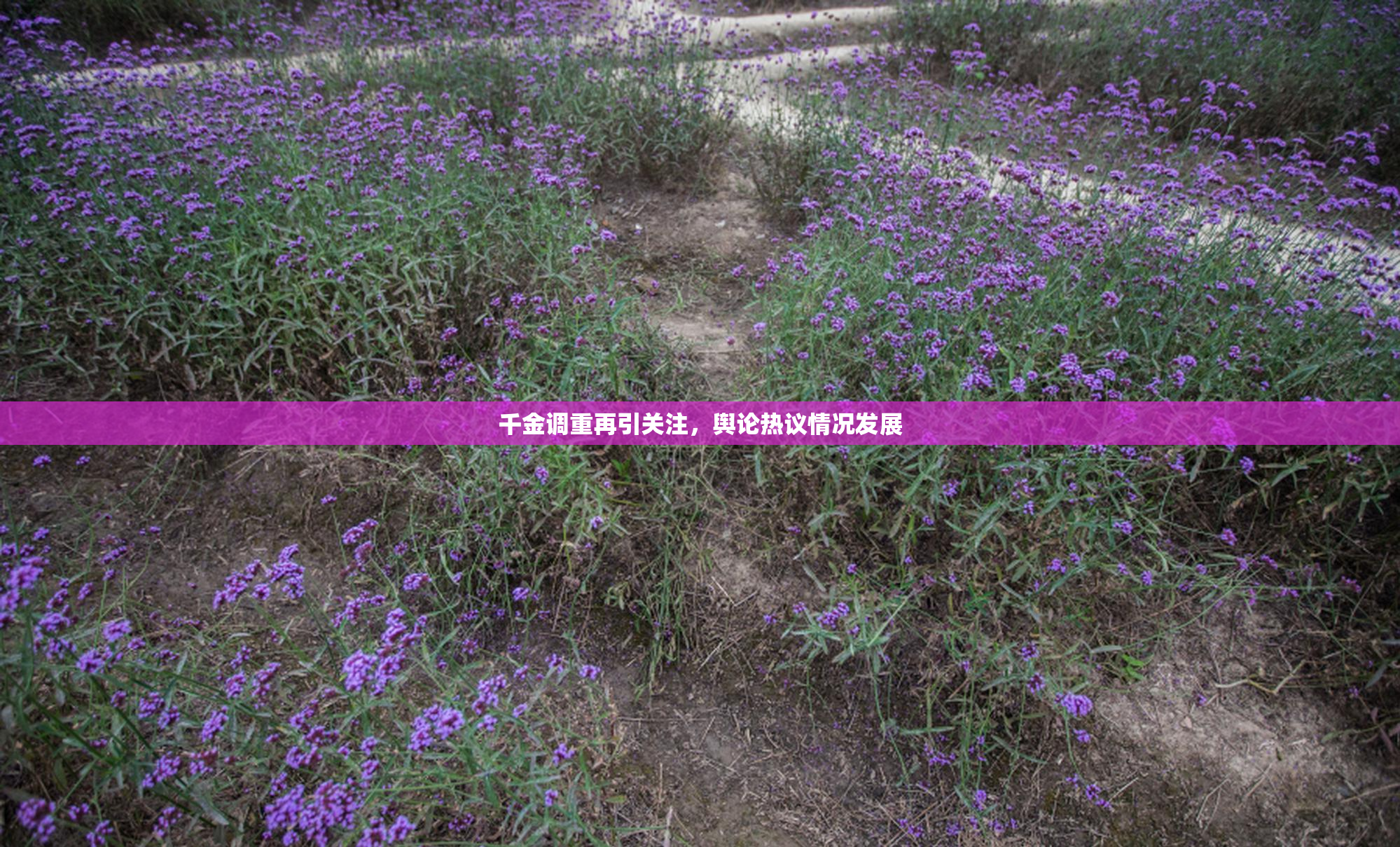 千金调重再引关注，舆论热议情况发展