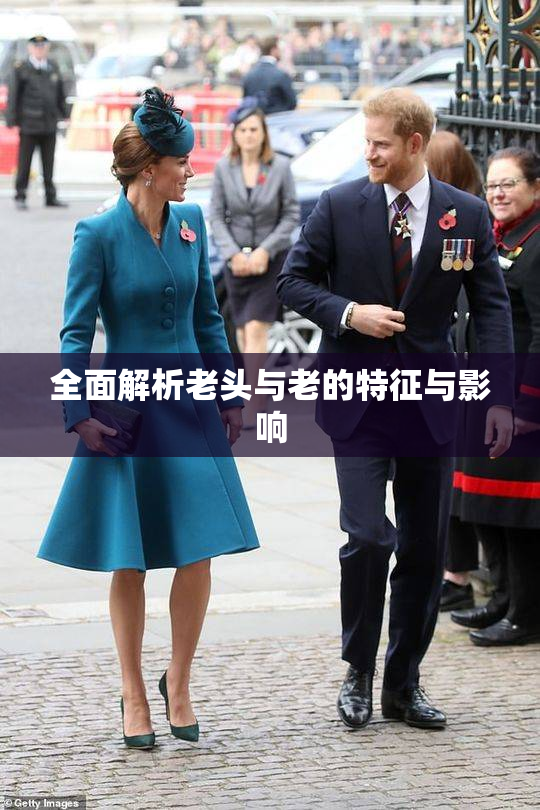 全面解析老头与老的特征与影响