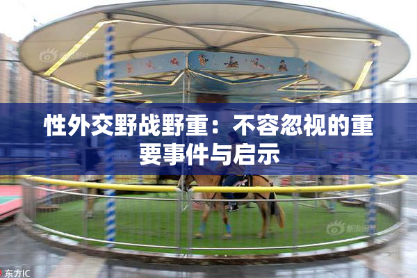 性外交野战野重：不容忽视的重要事件与启示