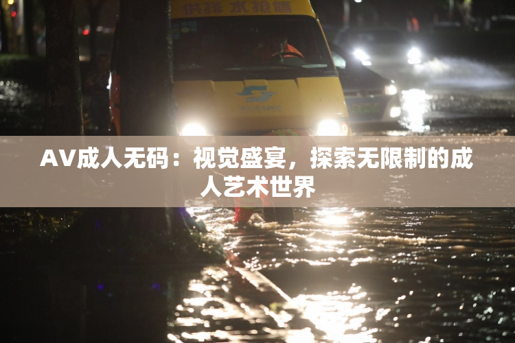 AV成人无码：视觉盛宴，探索无限制的成人艺术世界