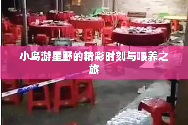 小鸟游星野的精彩时刻与喂养之旅