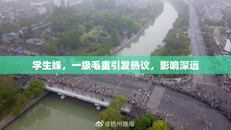 学生姝，一级毛重引发热议，影响深远