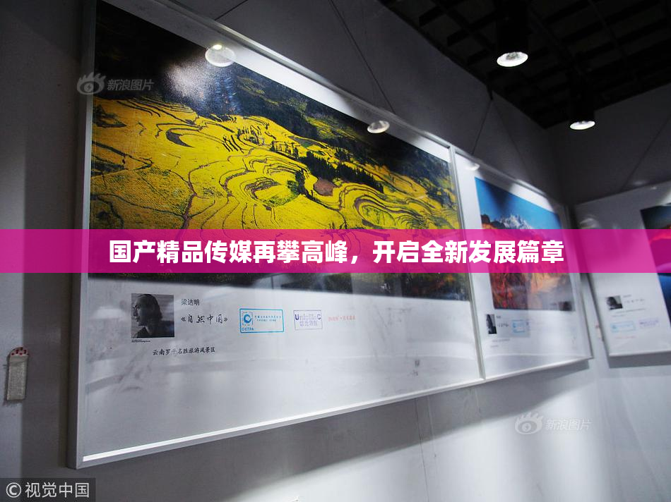 国产精品传媒再攀高峰，开启全新发展篇章