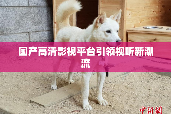 国产高清影视平台引领视听新潮流