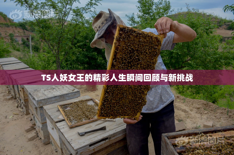 TS人妖女王的精彩人生瞬间回顾与新挑战