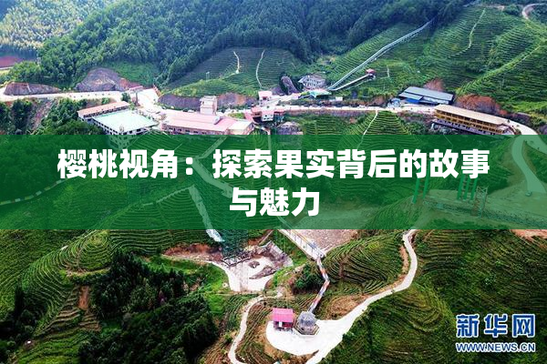 樱桃视角：探索果实背后的故事与魅力