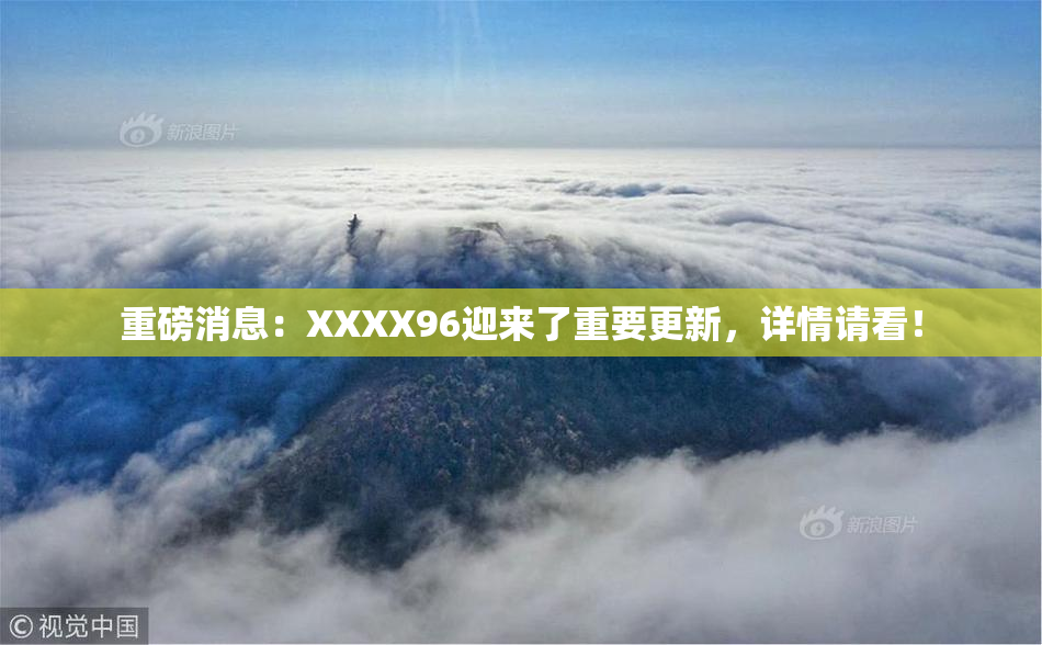 重磅消息：XXXX96迎来了重要更新，详情请看！
