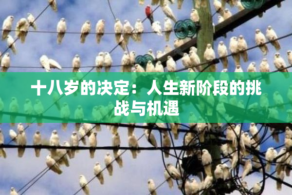 十八岁的决定：人生新阶段的挑战与机遇