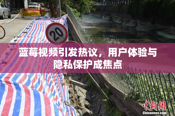 蓝莓视频引发热议，用户体验与隐私保护成焦点