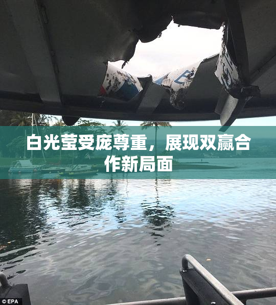 白光莹受庞尊重，展现双赢合作新局面