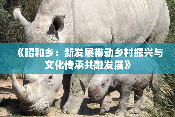 《昭和乡：新发展带动乡村振兴与文化传承共融发展》