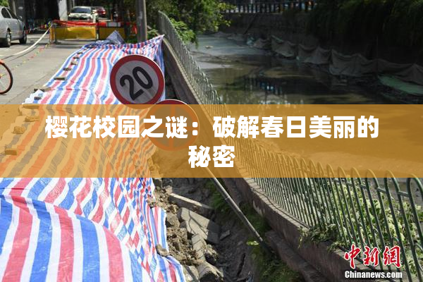 樱花校园之谜：破解春日美丽的秘密