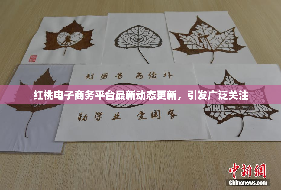 红桃电子商务平台最新动态更新，引发广泛关注