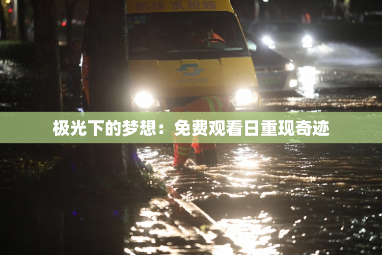 极光下的梦想：免费观看日重现奇迹