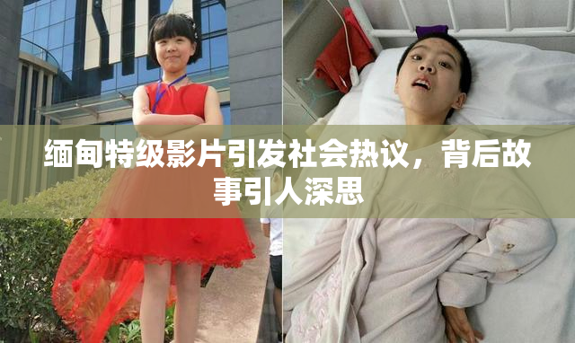 缅甸特级影片引发社会热议，背后故事引人深思