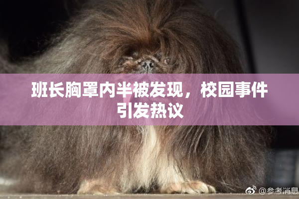 班长胸罩内半被发现，校园事件引发热议