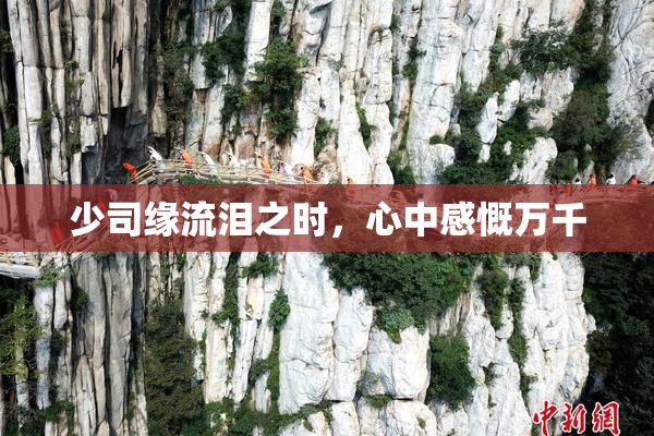 少司缘流泪之时，心中感慨万千