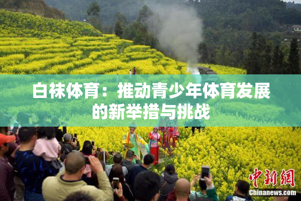 白袜体育：推动青少年体育发展的新举措与挑战