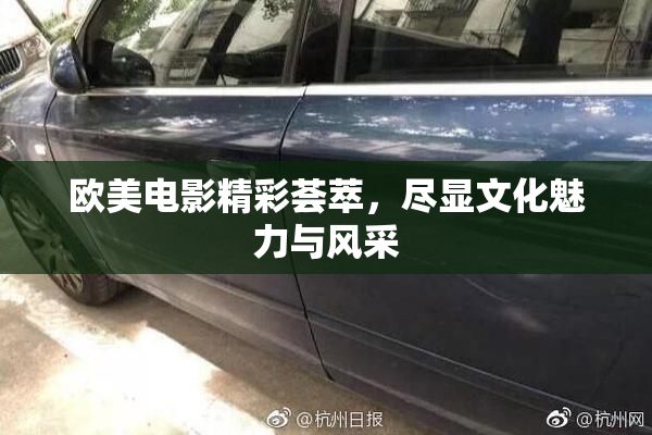 欧美电影精彩荟萃，尽显文化魅力与风采