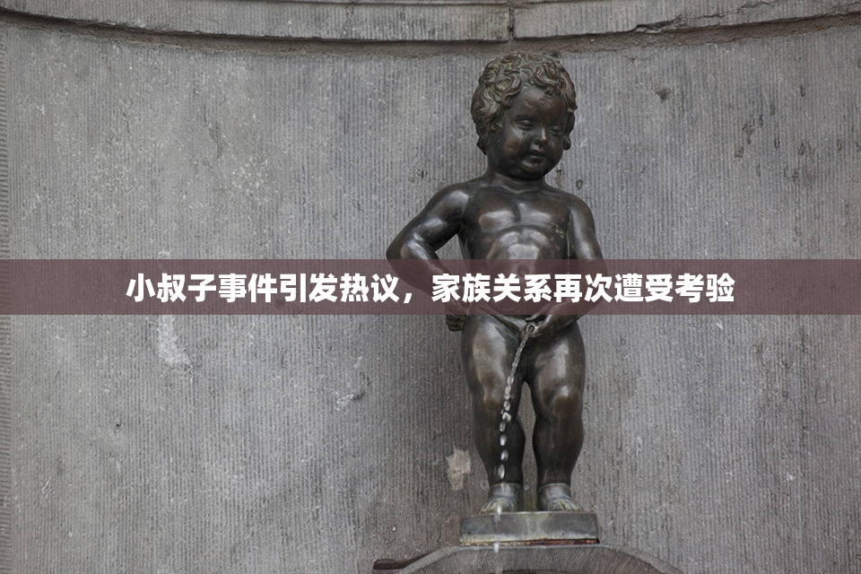 小叔子事件引发热议，家族关系再次遭受考验