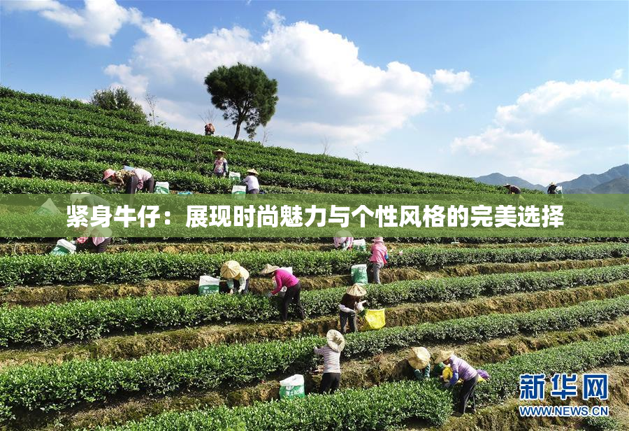 紧身牛仔：展现时尚魅力与个性风格的完美选择
