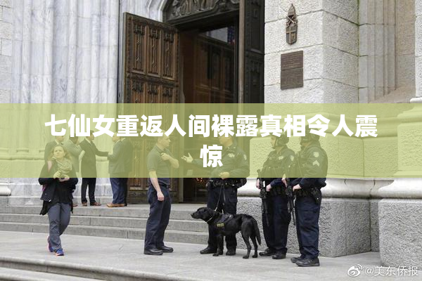 七仙女重返人间裸露真相令人震惊