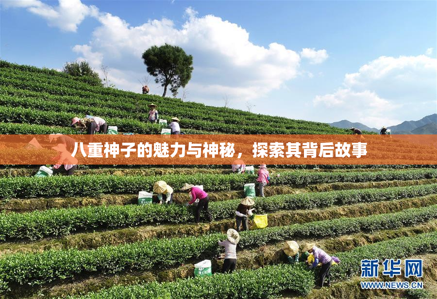 八重神子的魅力与神秘，探索其背后故事
