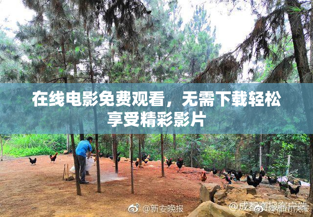 在线电影免费观看，无需下载轻松享受精彩影片