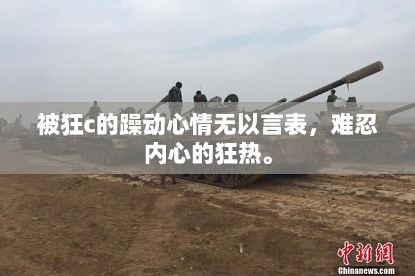 被狂c的躁动心情无以言表，难忍内心的狂热。
