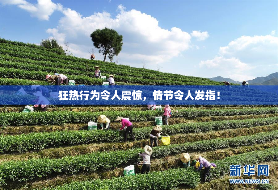 狂热行为令人震惊，情节令人发指！
