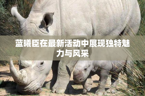 蓝曦臣在最新活动中展现独特魅力与风采