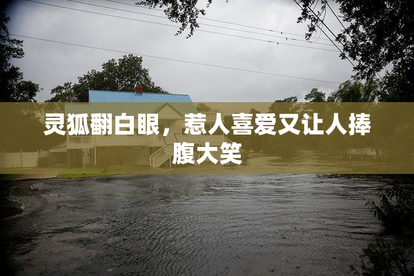 灵狐翻白眼，惹人喜爱又让人捧腹大笑