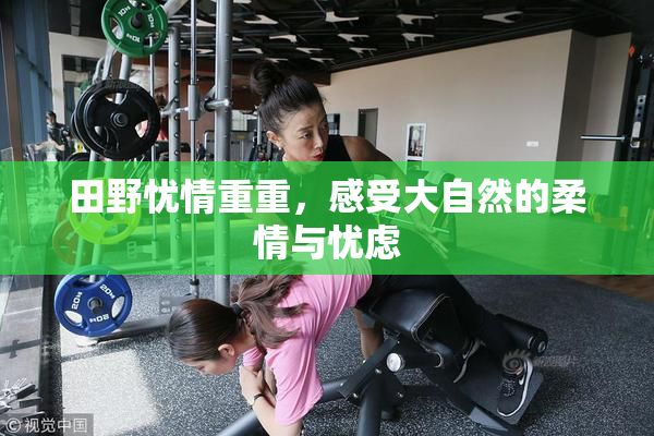 田野忧情重重，感受大自然的柔情与忧虑