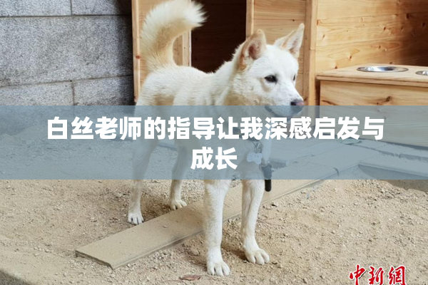 白丝老师的指导让我深感启发与成长