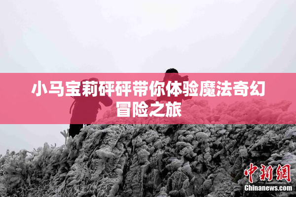 小马宝莉砰砰带你体验魔法奇幻冒险之旅