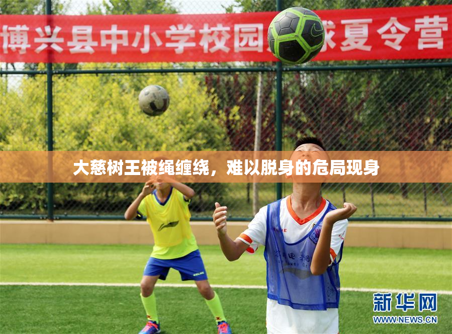 大慈树王被绳缠绕，难以脱身的危局现身