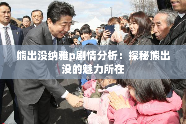 熊出没纳雅p剧情分析：探秘熊出没的魅力所在