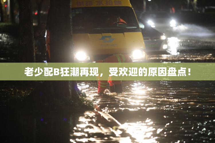 老少配B狂潮再现，受欢迎的原因盘点！