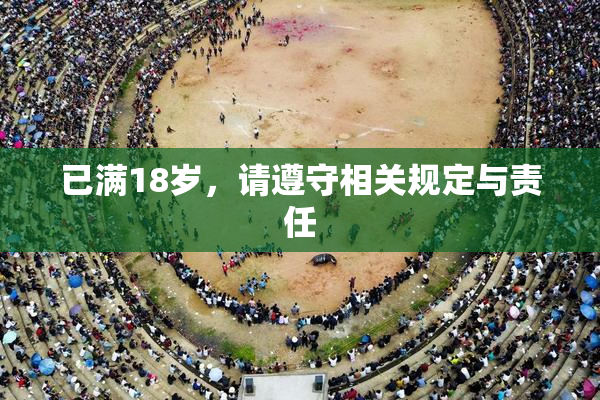 已满18岁，请遵守相关规定与责任
