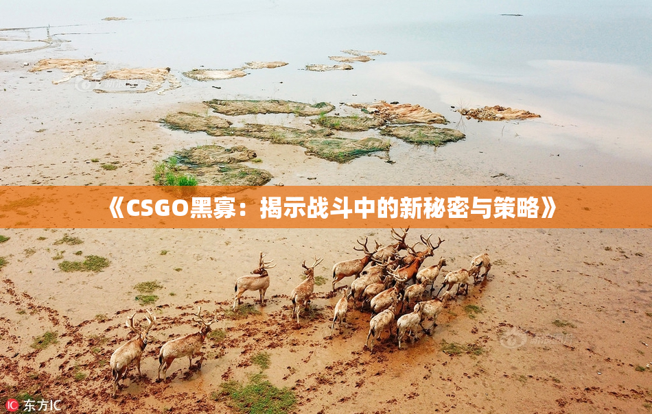 《CSGO黑寡：揭示战斗中的新秘密与策略》