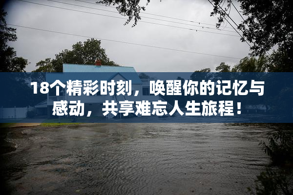 18个精彩时刻，唤醒你的记忆与感动，共享难忘人生旅程！