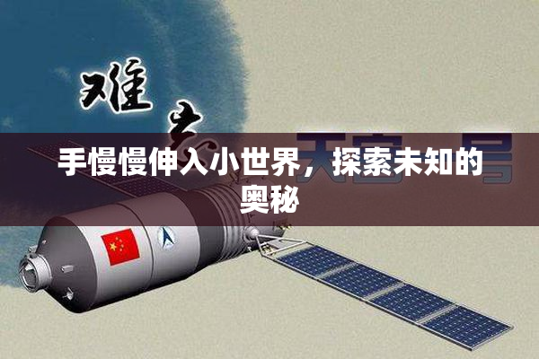 手慢慢伸入小世界，探索未知的奥秘