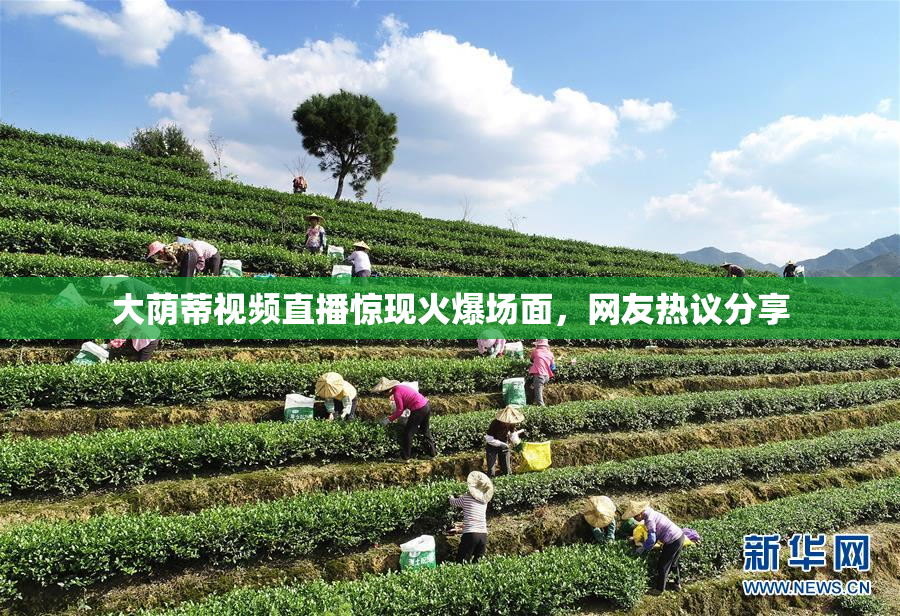 大荫蒂视频直播惊现火爆场面，网友热议分享